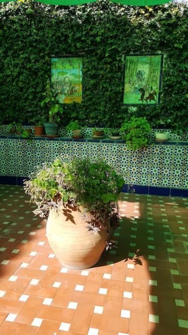 Sevilla A Tus Pies Mairena del Aljarafe Extérieur photo